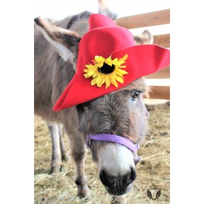 Donkey wearing a red hat with a sunflower on it.